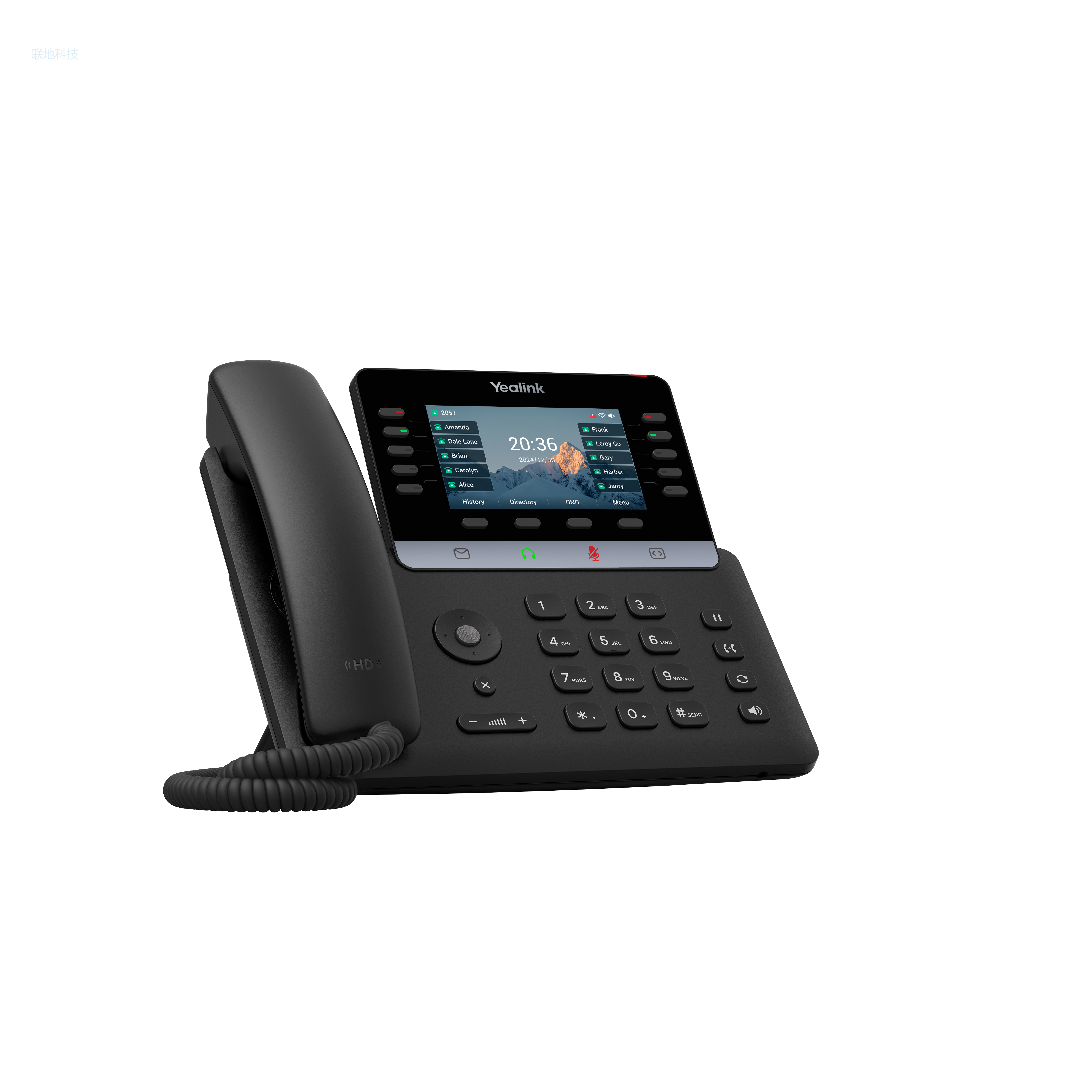 SIP-T74W