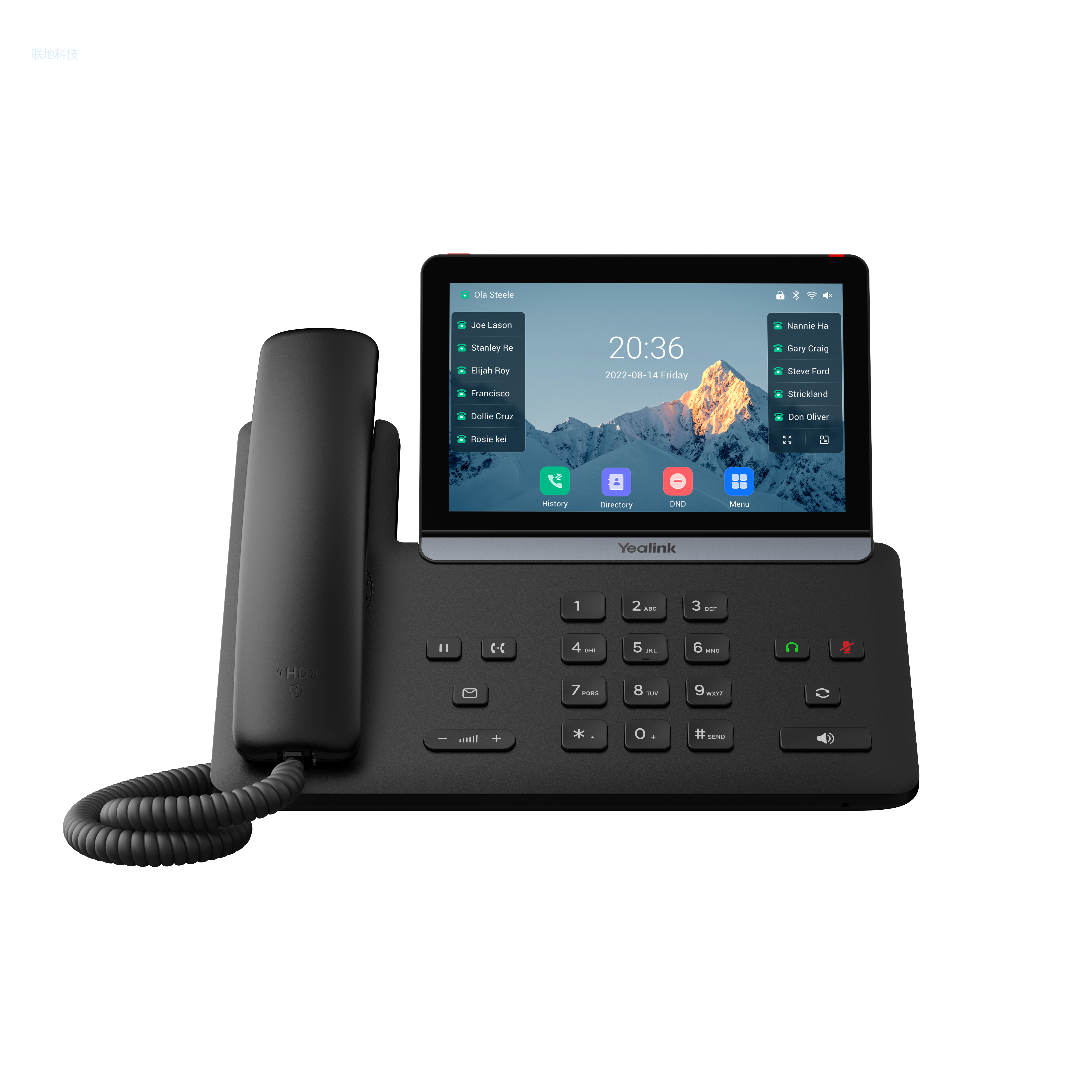 SIP-T87W